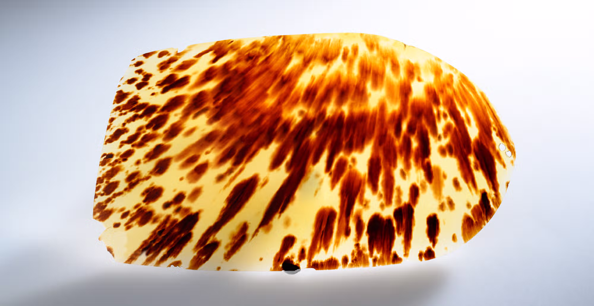 BEKKO-ATTRACTIVENESS-IMG01