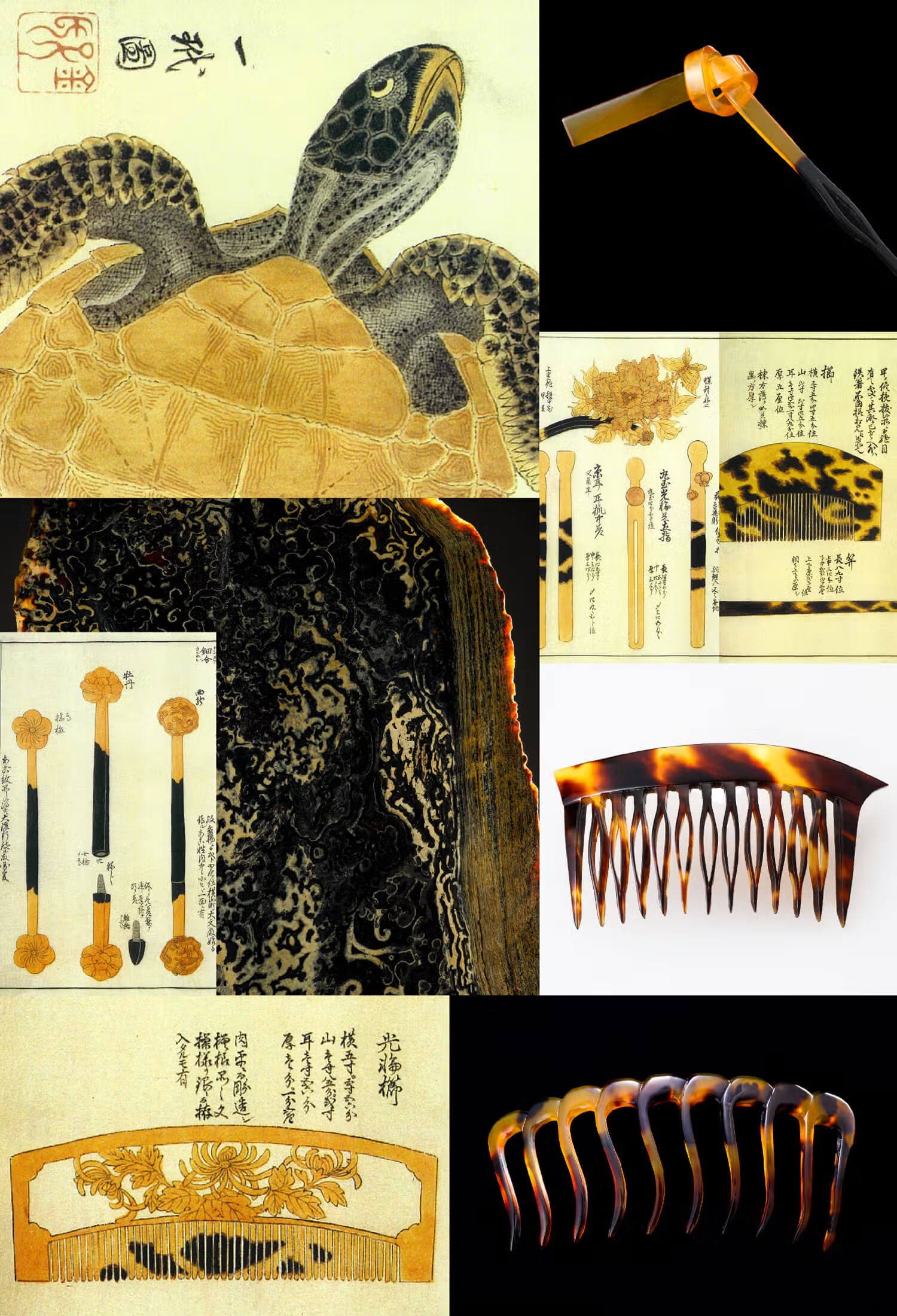 BEKKO HISTORY